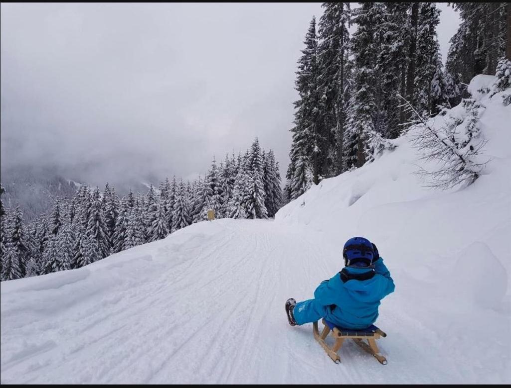 Lieblingsplatz - Ski In Und Ski Out See Exterior photo